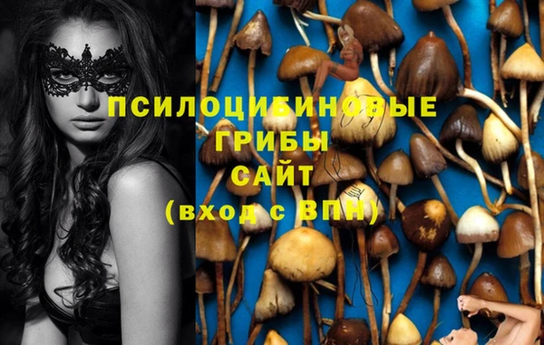 каннабис Белоозёрский