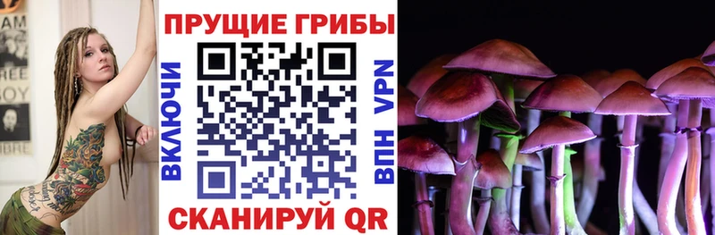 Псилоцибиновые грибы Cubensis  площадка наркотические препараты  Мариинский Посад 